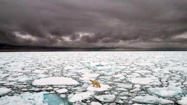 காலநிலை 