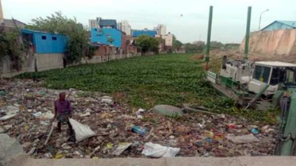 கொசுக்கள் கொசுக்கள்