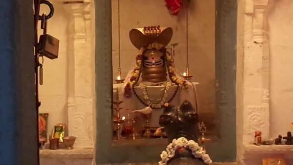 தறிக்குடிகள் தறிக்குடிகள்