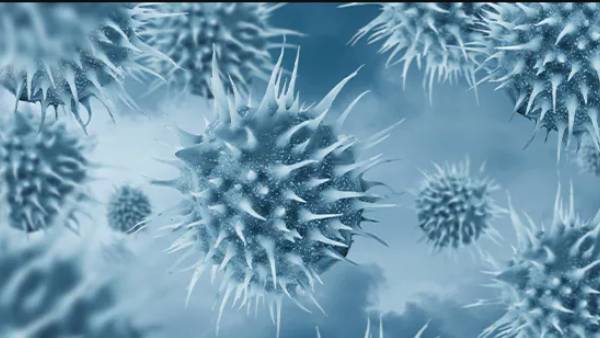 எப்படி பரவியது எப்படி பரவியது