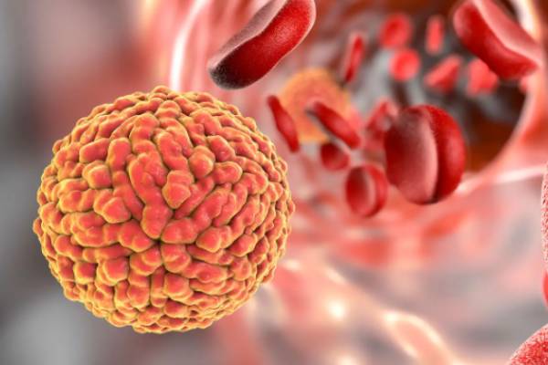 ஜிகா வைரஸ் அச்சுறுத்தல் 