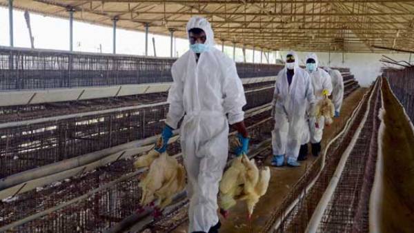 தமிழ்நாட்டில் தீவிர சோதனை 