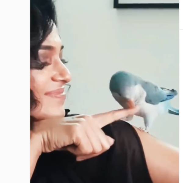 வாயை விட்டு எந்திரிங்க 