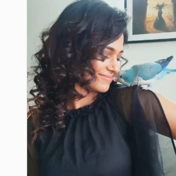 மரம் நடும் நிகழ்வுகள் 