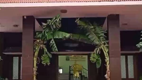 வாய்ப்புகள் இல்லை 