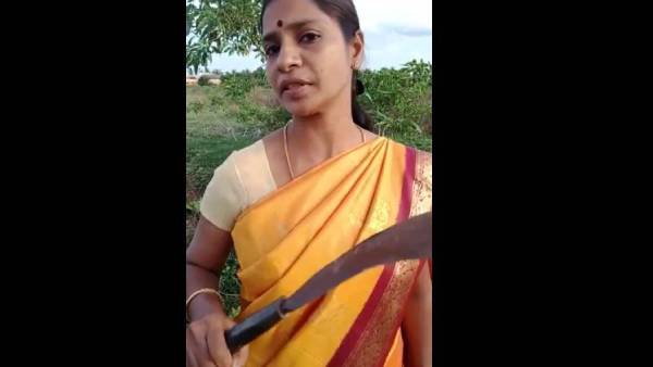வாட்ஸ்அப்பில் படம் 