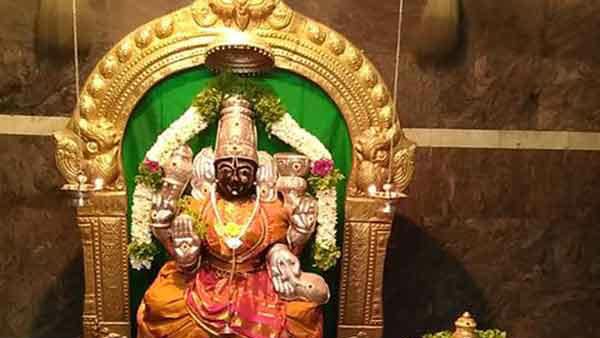 பட்டு உடுத்தும் அம்மன் 
