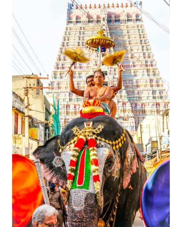 யானை மீது ஊர்வலம் 