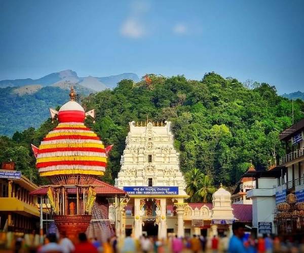 நாக தோஷம் நீங்கும்