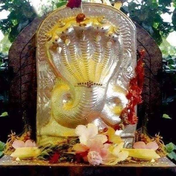 கருப்பையில் குழந்தை தங்கும்