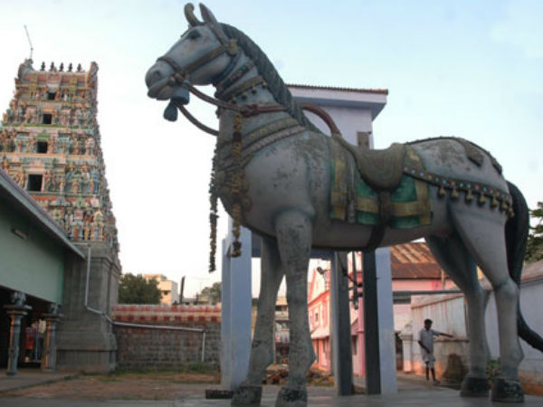 பித்ரு வழிபாடு பித்ரு வழிபாடு