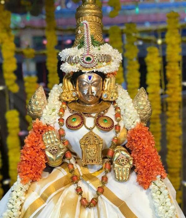 திருச்சானூர் பத்மாவதி தாயார் திருச்சானூர் பத்மாவதி தாயார்