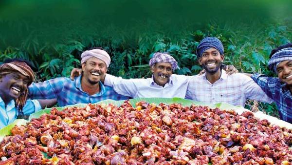 1 கோடி பேர் 1 கோடி பேர்