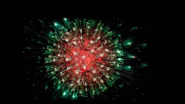 28 புதிய வைரஸ்கள்