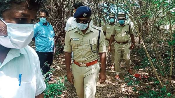 பாலியல் கொடுமை பாலியல் கொடுமை