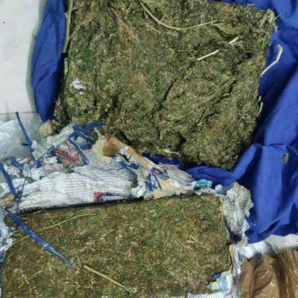 ஓவிய கலைஞா்கள் 