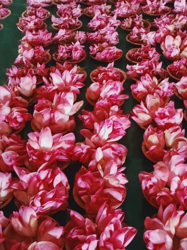 வசிய சக்திகள் வசிய சக்திகள்