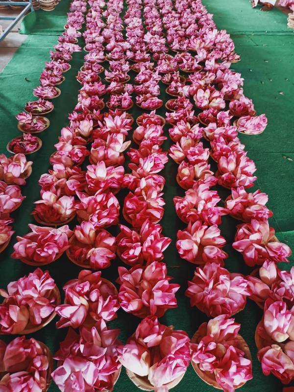 நவ தானியங்கள் நவ தானியங்கள்