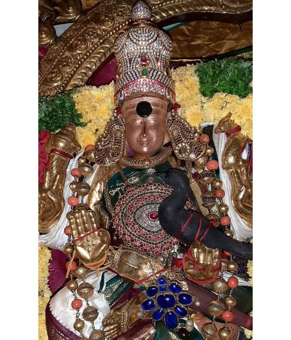 வருந்திய கருங்குருவி 