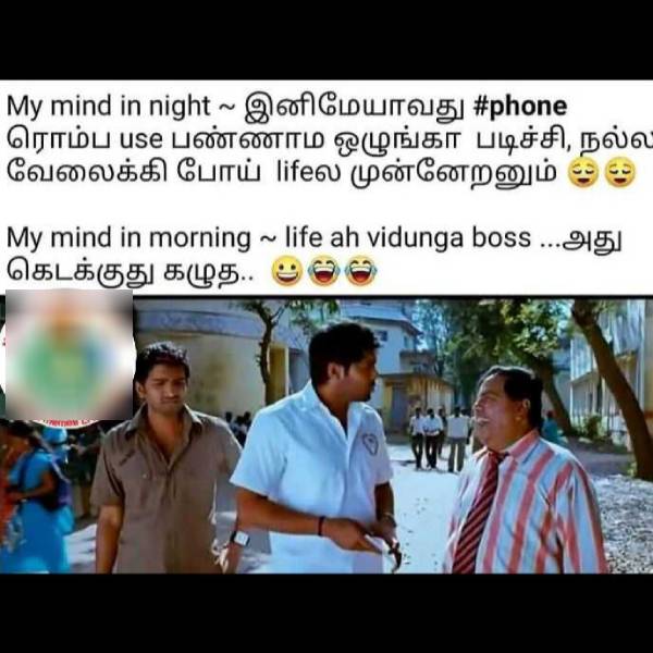 Viral memes collection on cell phone