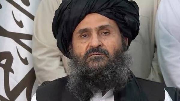 தாலிபான்கள் தாலிபான்கள்