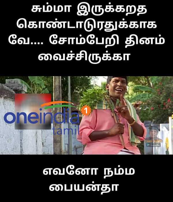 Memes collection on lazy day and Lions day