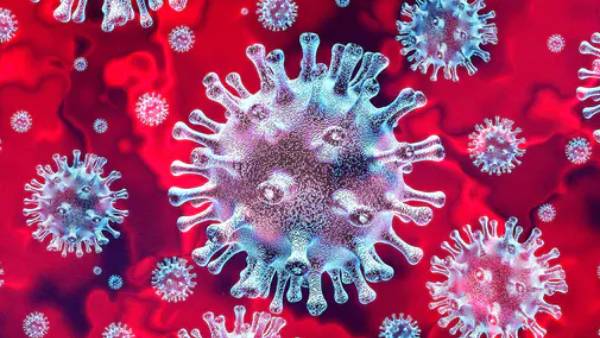 50% மட்டுமே பாதுகாக்கிறது