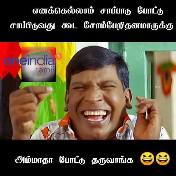 Memes collection on lazy day and Lions day