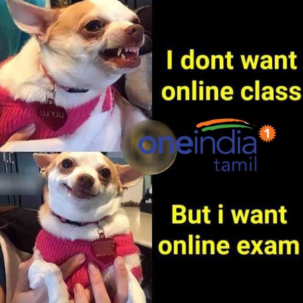 Viral memes collection on school and college