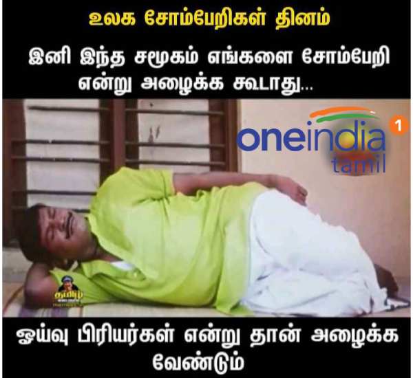 Memes collection on lazy day and Lions day