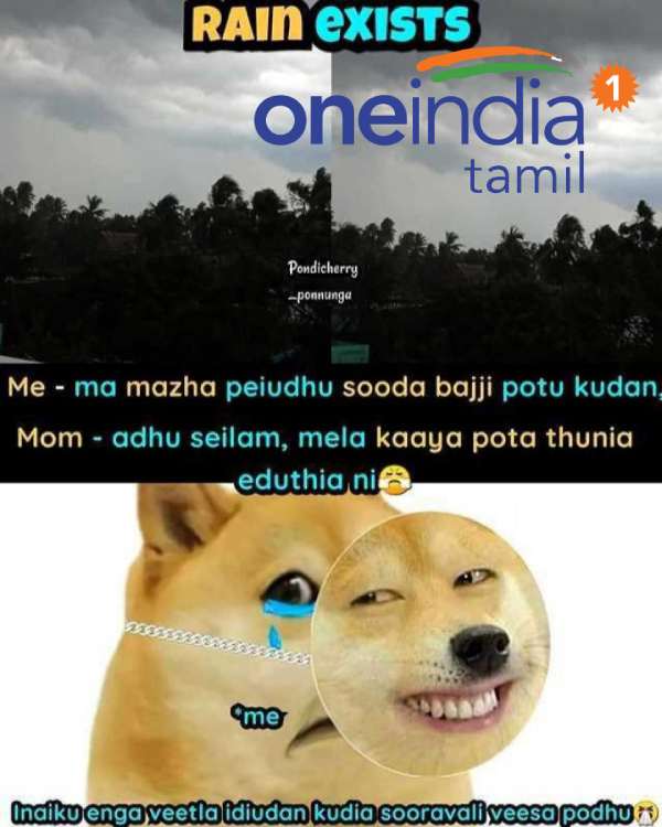 Viral memes collection on rain
