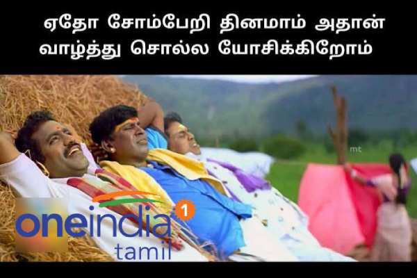 Memes collection on lazy day and Lions day