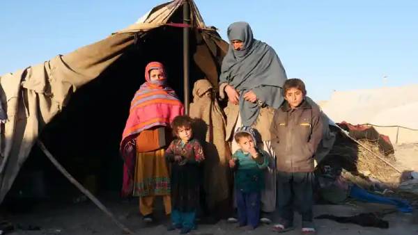 தாலிபான் 