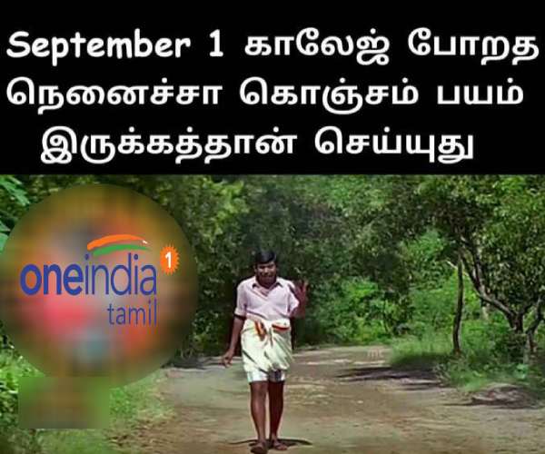 Viral memes collection on school and college