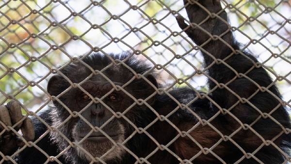 காதல் வளர்ந்தது 