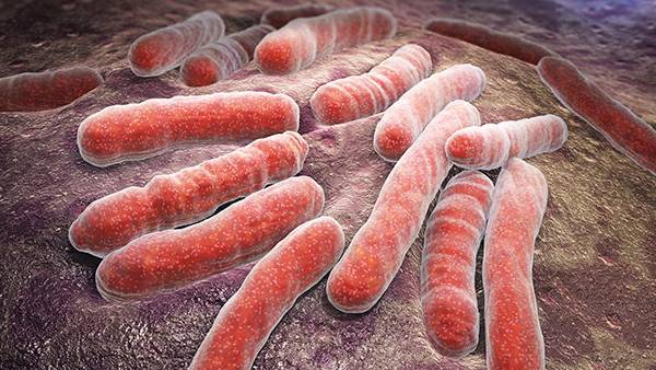 மத்திய அரசு நடவடிக்கை