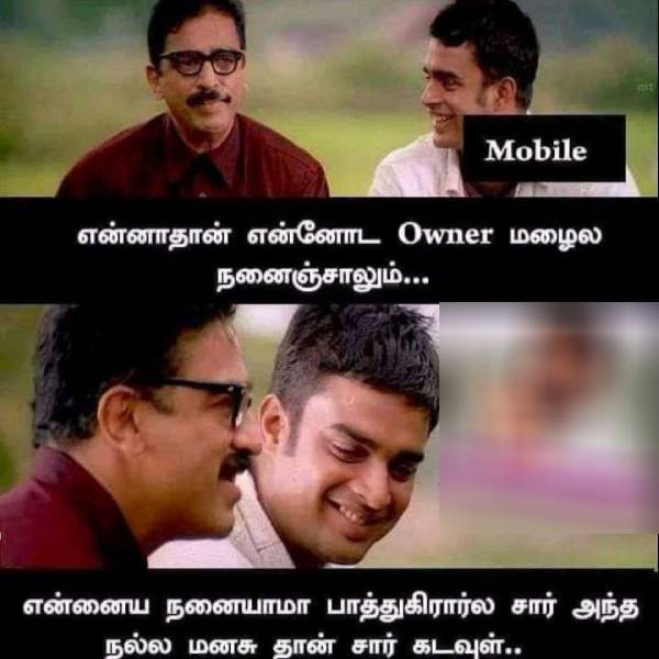 Viral memes collection on cell phone