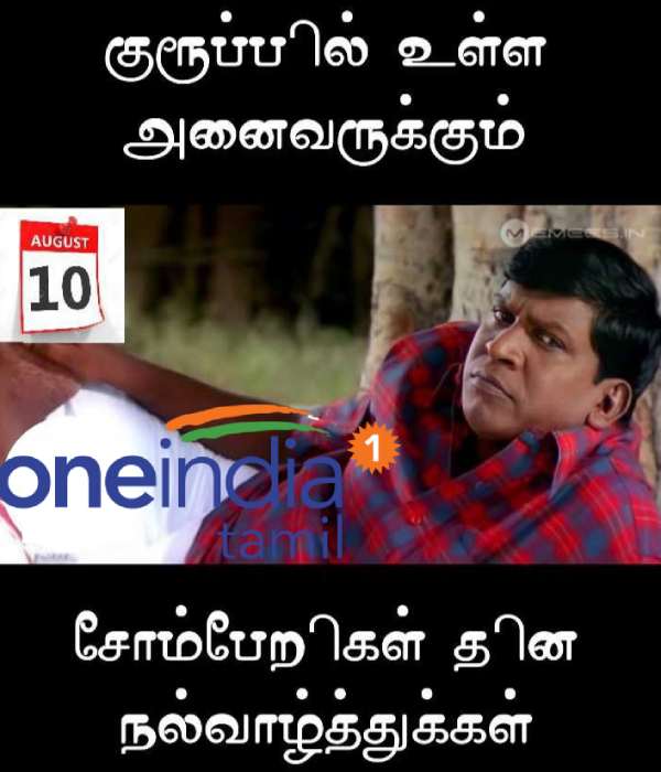 Viral Memes collection on lazy day