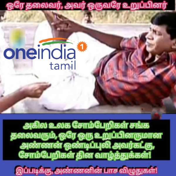 Memes collection on lazy day and Lions day