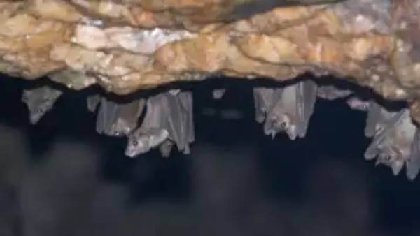 88% உயிரிழப்பு