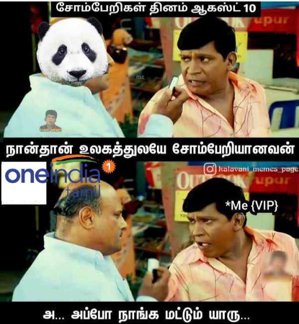 Viral Memes collection on lazy day