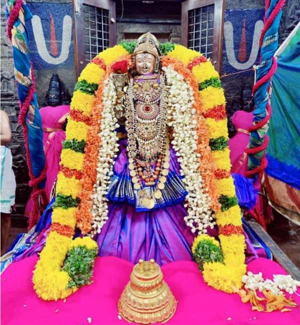 Aadi pooram festival : Srirangam perumal gifted to Pattu vasthiram for Srivilliputhur Aandal 