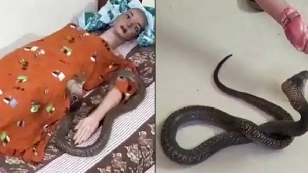 பெற்றோர்