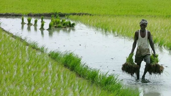 விவசாயம் 