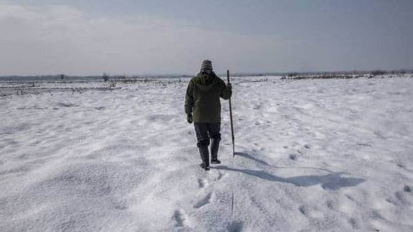 விவாதப் பொருள் 