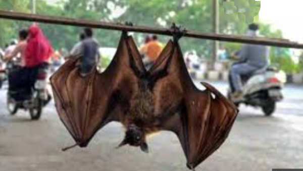 88% உயிரிழப்பு