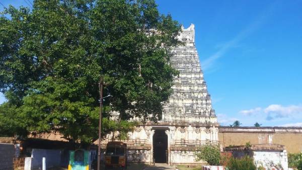 சூரிய வழிபாடு 