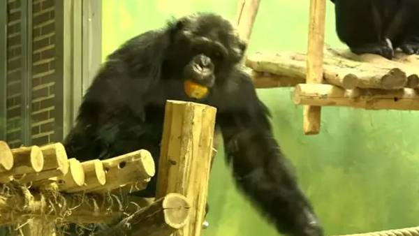 காதல் நாயகன் 