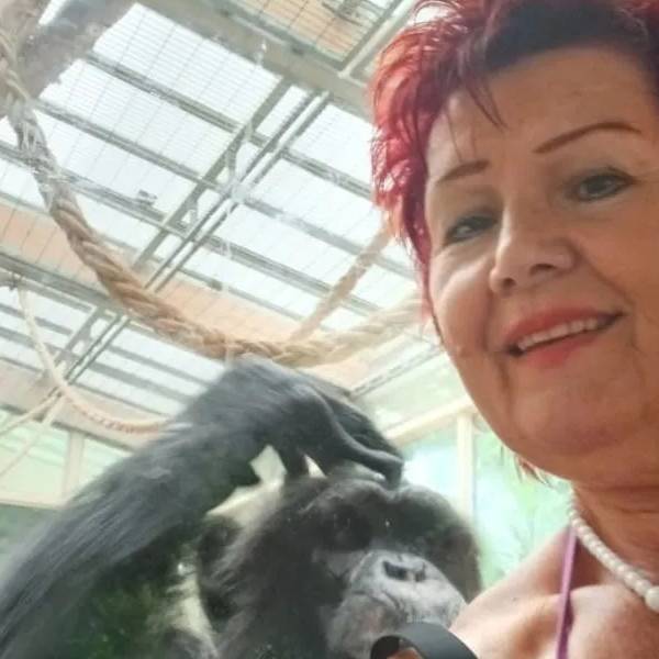  எத்தனை வருடம் 