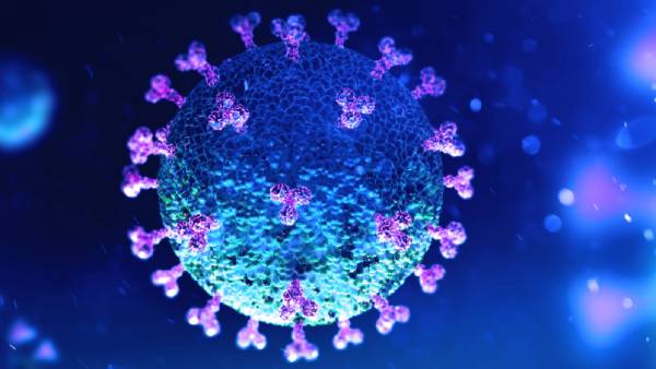 பள்ளிகள்